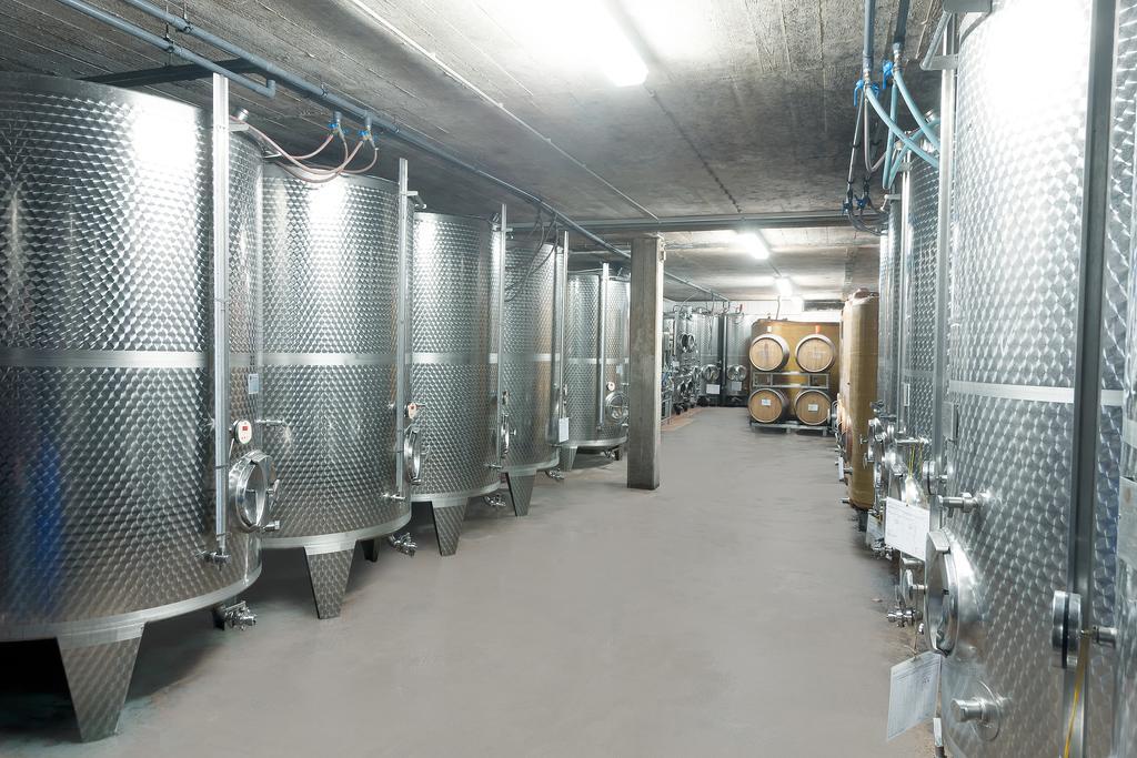 Pension Und Weingut Moselblick Brauneberg Bagian luar foto