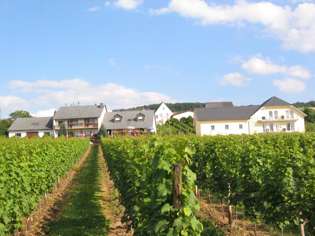 Pension Und Weingut Moselblick Brauneberg Bagian luar foto